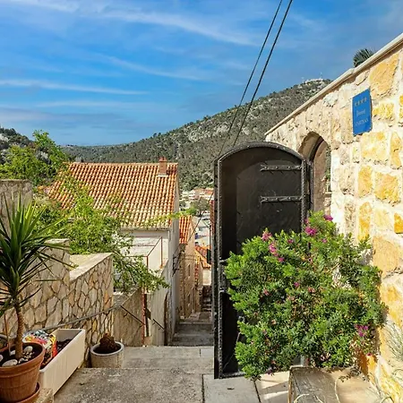 Capitis In The Center * Hvar Town